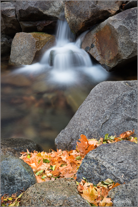 Bridalveil Creek and Fall Color